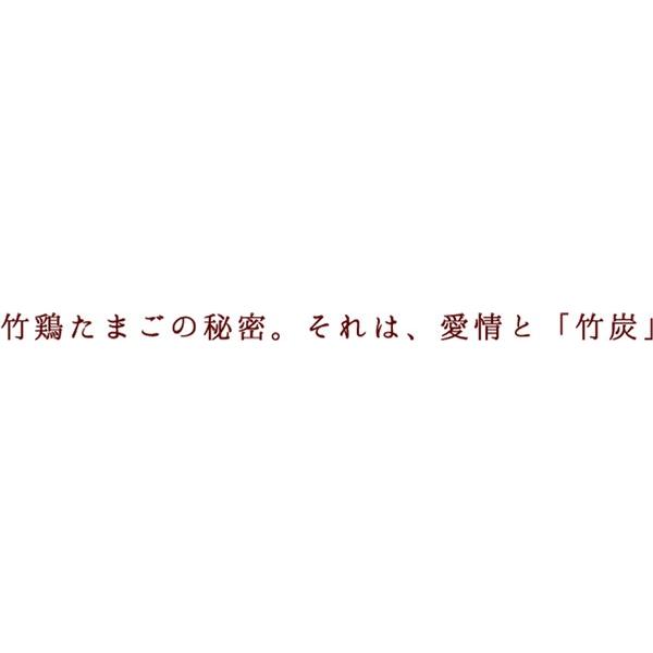 竹鶏ファーム 竹鶏 たまご 10個入 (白玉)