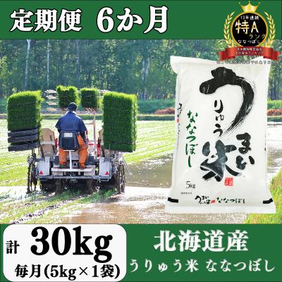 ふるさと納税 雨竜町 うりゅう米「ななつぼし」5kg 定期便!毎月1回・計6回お届け[AT25]