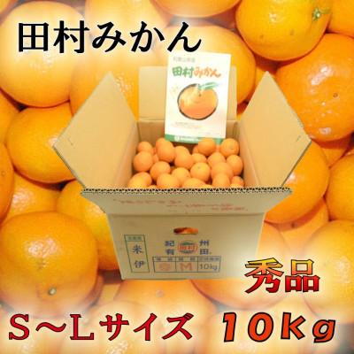 ふるさと納税 湯浅町 田村みかん　秀品　10kg(S〜Lサイズ)