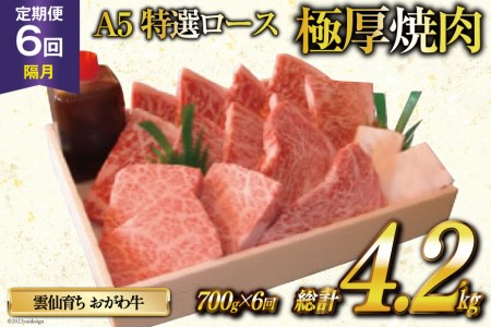 定期便 6回 牛肉 雲仙育ち おがわ牛 A5 特選 ロース 極厚焼肉 総計4.2kg(700g×6回) 黒毛和牛 冷凍   焼肉おがわ   長崎県 雲仙市