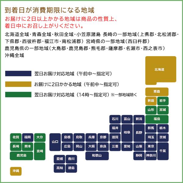 お歳暮 御歳暮 平宗 柿の葉寿司 ギフト 鯖 鮭 2種 48個 押し寿司 柿の葉ずし ギフト