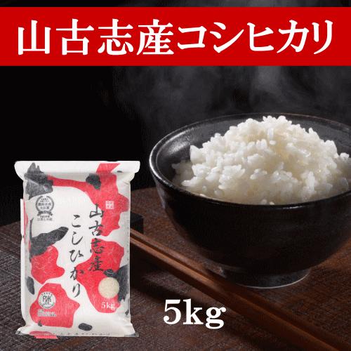 送料無料 令和５年産 新潟県山古志産コシヒカリ 5kg おこめ 精米 新潟