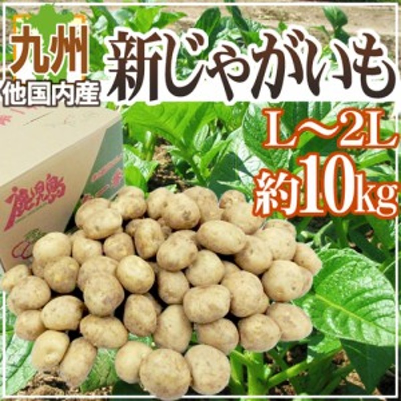 宅配便送料無料 じゃがいも 10kg 北海道産 キタアカリ 大玉 2L 1箱 新物 新じゃが 送料無料 芋 野菜 食品 国華園