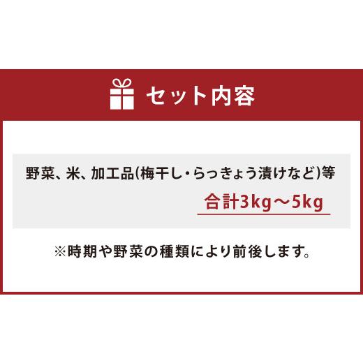 ふるさと納税 熊本県 上天草市 上天草母ちゃん 農産物 セット 合計3kg〜5kg