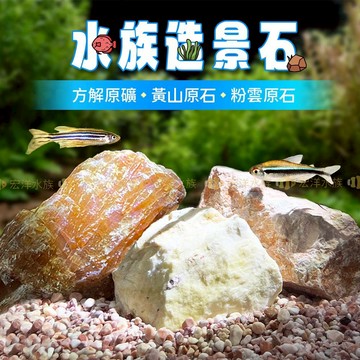 宏洋水族【精選-水族造景石】打造專屬你的景觀〞魚缸造景 水草缸 造景石 岩石 水草造景 水草裝飾 魚缸裝飾 水族裝飾 石