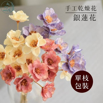 大好屋 現貨 銀蓮花 單枝裝 手工花 乾燥花 瓜子花 永生花材 不凋花材 拍照道具 居家佈置 花圈 乾燥花束