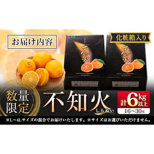 ふるさと納税 宮崎県 日南市 数量限定 不知火 (化粧箱入り)計6kg以上(2箱) フルーツ 果物 柑橘 みかん 黒箱 国産 食品 デザート くだもの 果実 蜜柑 送料無料_…