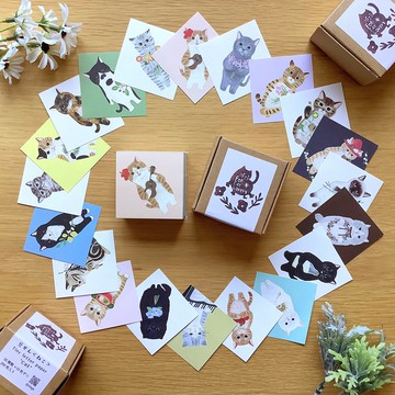 豆信紙 貓咪