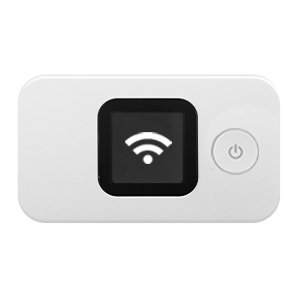 レンタル,各種サービス