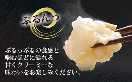 博多 もつ鍋 やまや 牛もつたっぷり 600g ！ もつ鍋セット あごだし醤油味 (大容量 5～6人前)