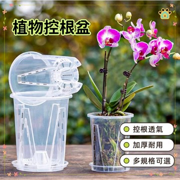 熱賣🏆空氣柱控根盆 觀葉植物專用盆 透明高腳控根盆 蘭花盆 斑葉 龜背芋 合果芋 觀音蓮 雨林 彩葉芋