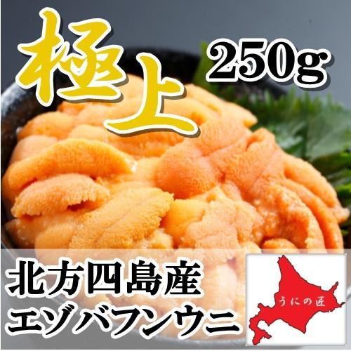 無添加 塩水生うに250g(エゾバフンウニ)(北方四島産)(北海道うに丼)