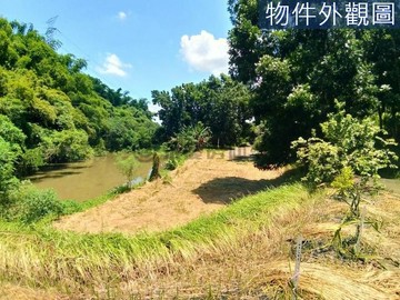 獨家左鎮出泉活水池塘露營養生農園｜台南市左鎮區岡子林段