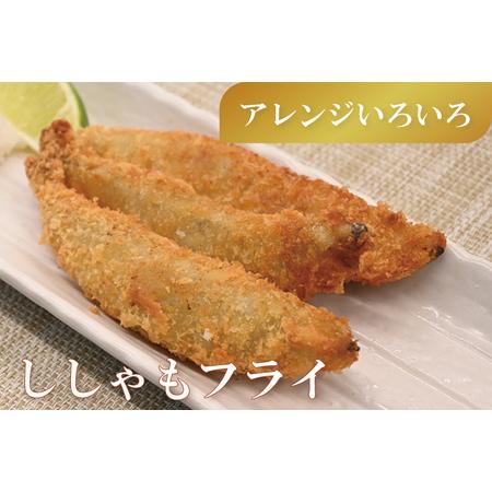 ふるさと納税  子持ち カラフトシシャモ 5kg (500g×10袋) 訳アリ シシャモ ししゃも カラフトししゃも 大洗 規格外 訳あり .. 茨城県大洗町