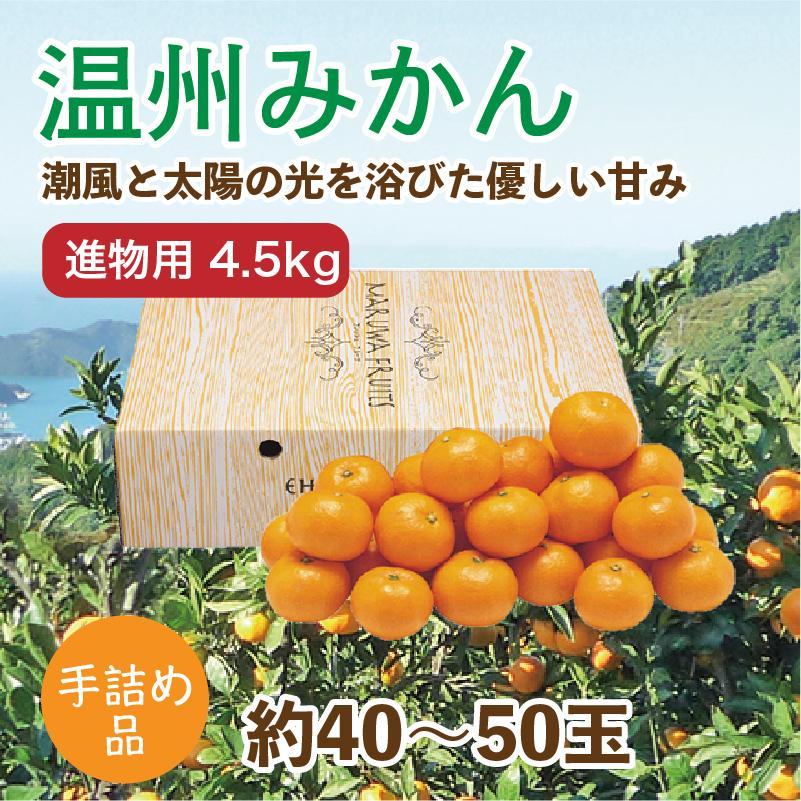 みかん 温州みかん 4.5kg 進物用 手詰め品 約40~50玉 愛媛県産みかん 産地直送 送料無料 お歳暮 2023 お歳暮2023 ギフト グルメ