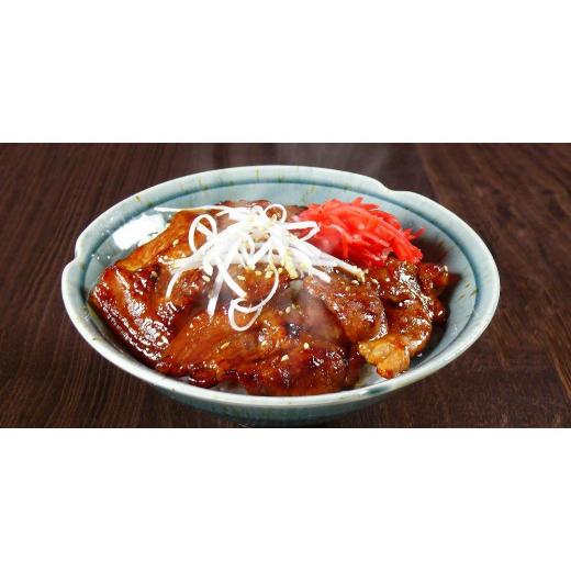 ふるさと納税 宮城県 登米市 豚丼の具（10パック）