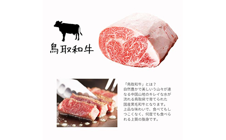 と23-11 鳥取県産　焼肉セット ２kg(６～８人前) 牛肉 豚肉 鶏肉 焼き肉 バーベキュー BBQ ファミリーセット