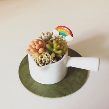 接單製作款。多款肉肉盆4號。仿真黏土多肉植物_彩虹雲朵手工花插