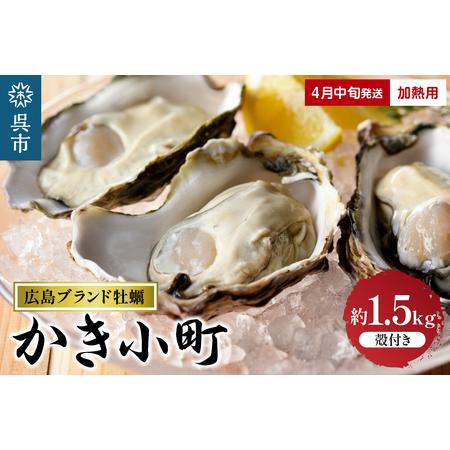 ふるさと納税 丸十水産 広島ブランド牡蠣 殻付き かき小町 約1.5kg  (8〜10個) 加熱用 広島県呉市