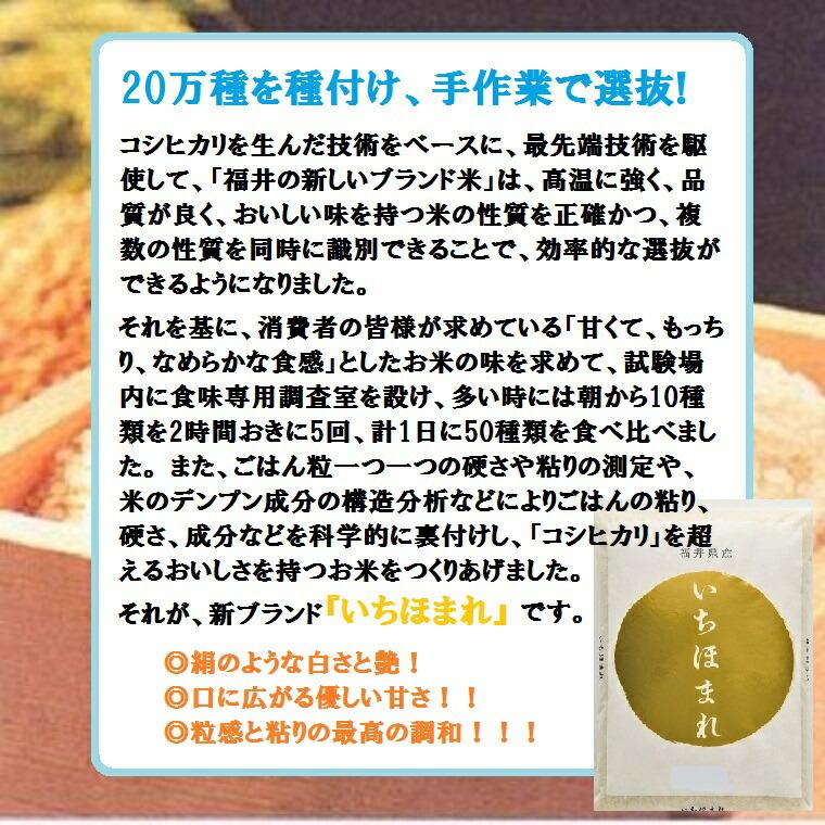 ２Ｋ袋　福井のお米特別栽培米  白米・新米・ブランド米