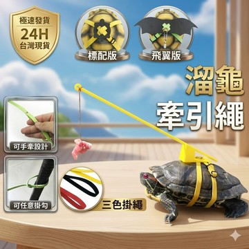 陸龜驛站｜遛龜繩 溜龜繩 陸龜牽引繩 烏龜繩 寵物牽引背帶 外出飛翼繩奔跑吧 烏龜配件 爬蟲配件