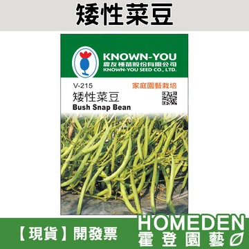 【台灣現貨】矮性菜豆 V-215 蔬菜種子 農友牌 小包裝種子 約20粒/包【HOMEDEN霍登園藝】