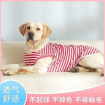 ✨臺灣有貨✨免運✨防掉毛夏季薄款狗狗衣服金毛拉布拉多邊牧中型大型犬背心防曬透氣 G7KM