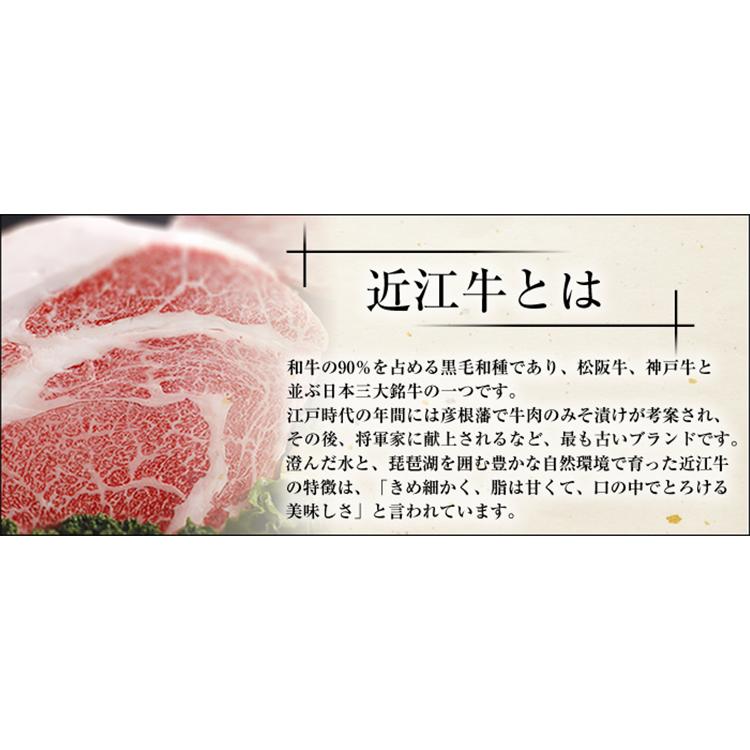 餃子 取り寄せ 肉大盛餃子 40g 20個 (10個×2P) 特大 牛とん包 paou 包王 冷凍便 同梱不可 指定日不可 産直