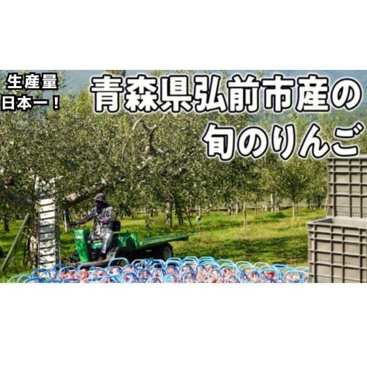 ふるさと納税 青森県 弘前市 1〜3月発送旬のリンゴ詰め合わせ 約5kg糖度13度以上