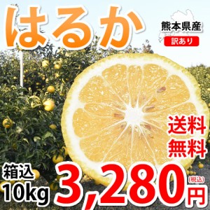 はるか みかん 10kg 箱込（内容量9kg＋補償分500g) 送料無料 訳あり 無選別 熊本県産 はるかみかん ミカン 蜜柑