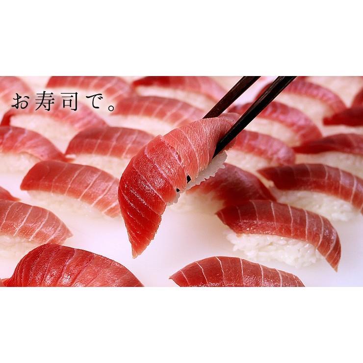 ※12 11〜12 30お届け限定 本マグロ中トロ1kg！送料無料 解凍レシピ付 マグロ刺身《pbt-bf14》〈bf1〉yd9[[本鮪中トロセット1kg]