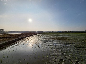 烏日區環中路旁大地坪農地｜台中市烏日區環中路八段