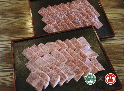 170-C16 大山黒牛焼肉セット（大山ブランド会）