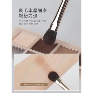 魅女郎六支眼影刷套裝暈染鋪色刷小號細節刷鐮刀眼線刷眼部化妝刷