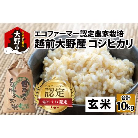 ふるさと納税 越前大野産 エコファーマー認定農家栽培 コシヒカリ10kg（玄米）[A-001037] 福井県大野市