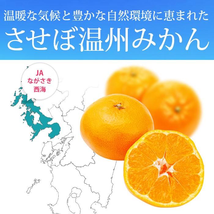 みかん 長崎県産 味っ子みかん 丸秀品 約5kg S〜Lサイズ 40〜60個 糖度13度以上