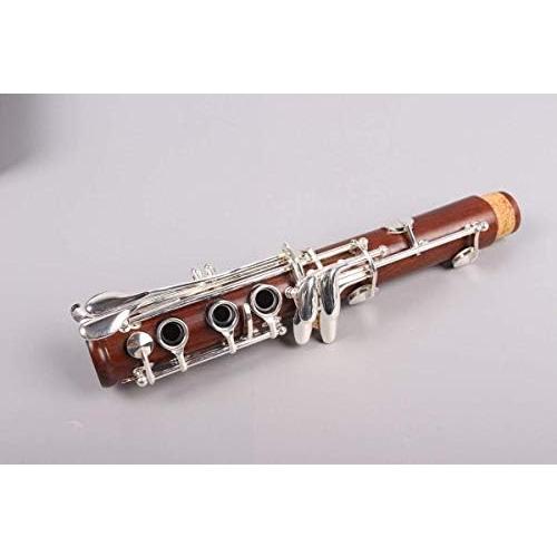 Yinfente Intermediate B-Flat Clarinet Rosewood wood Body Silver Plate Bb Key 17 key Case   Reeds   Pads (Bb key)並行輸入