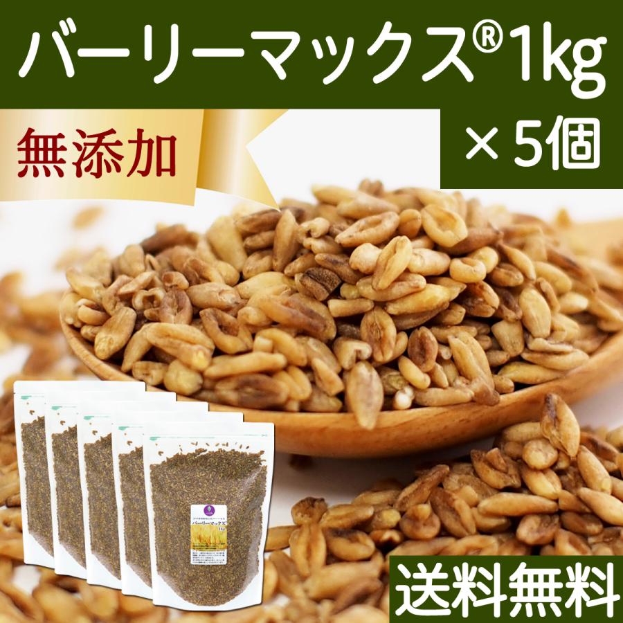 スーパー大麦 バーリーマックス 1kg×5個 食物繊維 ごはんに 送料無料