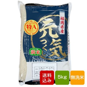 元気つくし 無洗米 5kg  特A 福岡県産  令和5年産