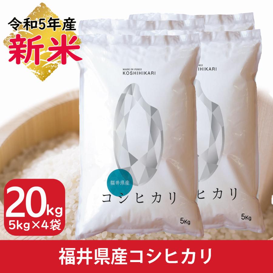 新米 米 コシヒカリ 20kg 5kg×4袋 福井県産 白米 令和5年産 送料無料