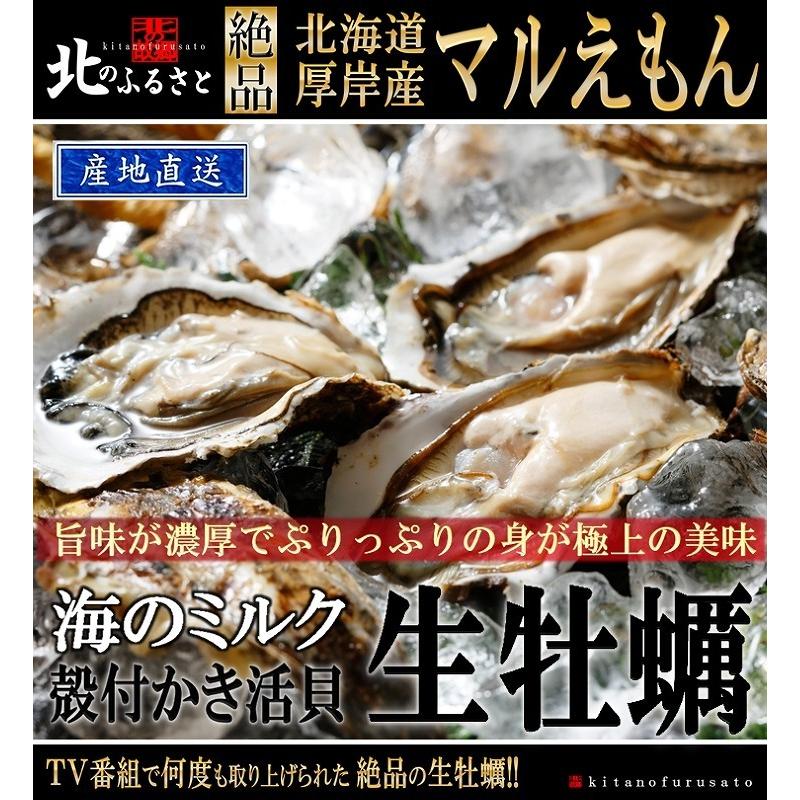 北海道 厚岸産 マルえもん 生 牡蠣 殻付き 3Lサイズ 50個 カキナイフ 軍手 付 産地直送 150g以上 個 カキ かき 生牡蠣 生食 3lサイズ ギフト お歳暮 お正月