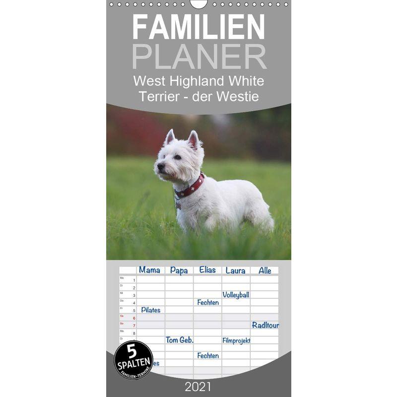 West Highland White Terrier Selbstbewustes Powerpaket der Westie