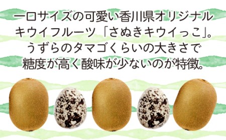 年内発送 キウイ フルーツ さぬき キウイっこ 約2kg 香川 キウイ 12月出荷 さぬき市 年内最終28日 キウイ