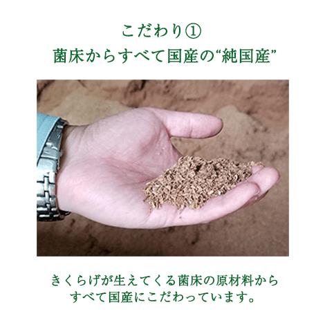 純国産 乾燥 きくらげ 大容量100g×3袋 敬老の日 健康 ダイエット 栄養 ビタミンD お歳暮 ギフト プレゼント