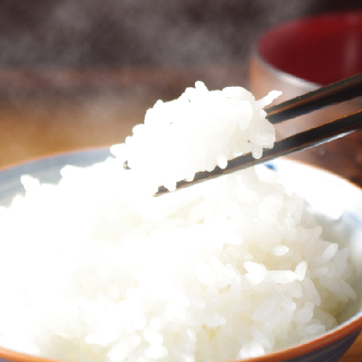 庄内米１年定期便！　特別栽培米はえぬき無洗米5kg