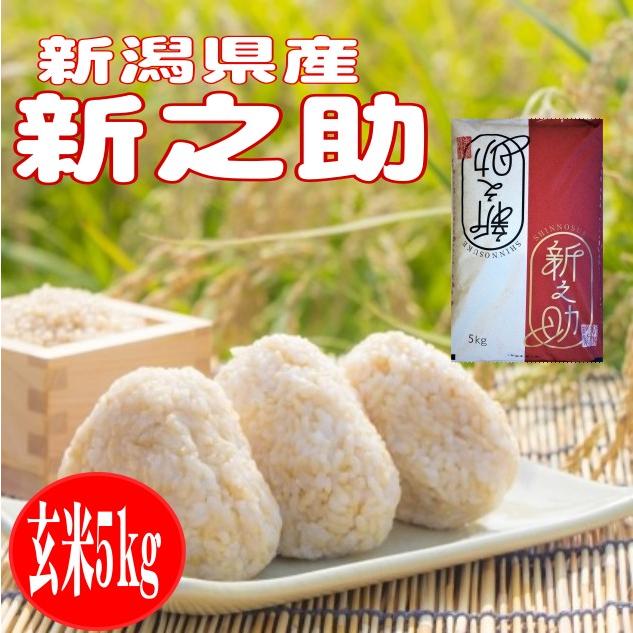 令和５年産新米　玄米5kg　送料無料　新潟新之助