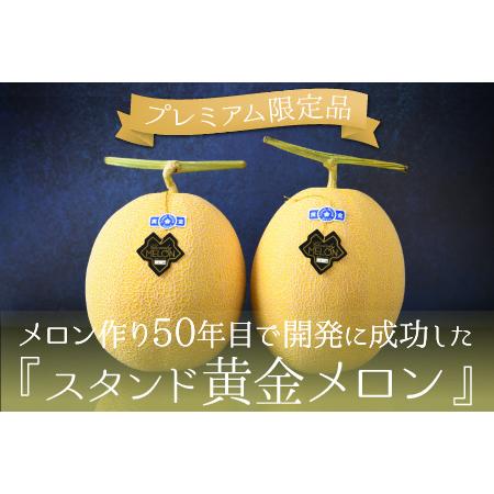 ふるさと納税 特許庁 商標登録品 スタンド黄金メロン 3L×2玉（約1.8kg×2玉）／ 期間限定 果物 フルーツ 高級メロン マ.. 福井県あわら市