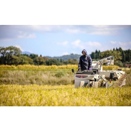 ふるさと納税 新潟県 津南町 県認証米魚沼産コシヒカリ 10kg 産地限定！農家直送