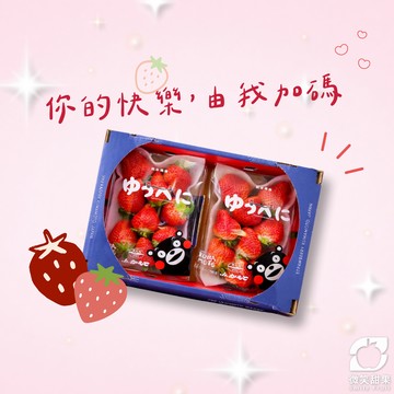 優惠到1/30 【微笑甜果】 日本草莓・熊本・一盒2盤・養顏水果・高顏值送禮・高級禮品・健康送禮・快速出貨