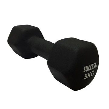 成功牌防滑塑身啞鈴5KG(六角啞鈴/磨砂啞鈴/握推/伏地挺身器/深蹲/GetSport)